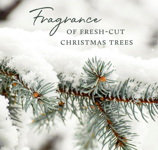Fir branches with snow and text 'Fragrance of Fresh-Cut Christmas Trees' on a blurred snowy background