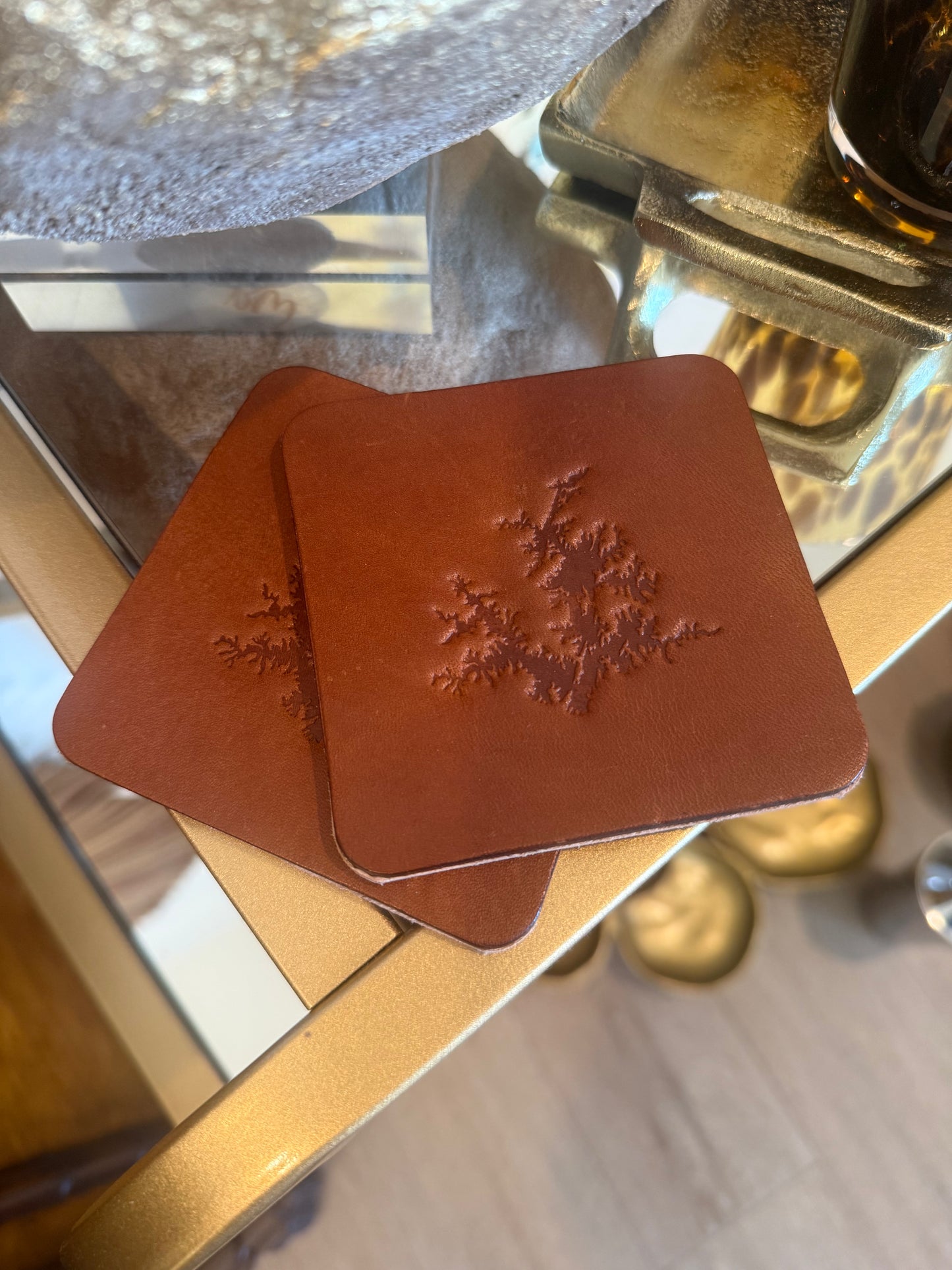 Leather Coaster Set of 2