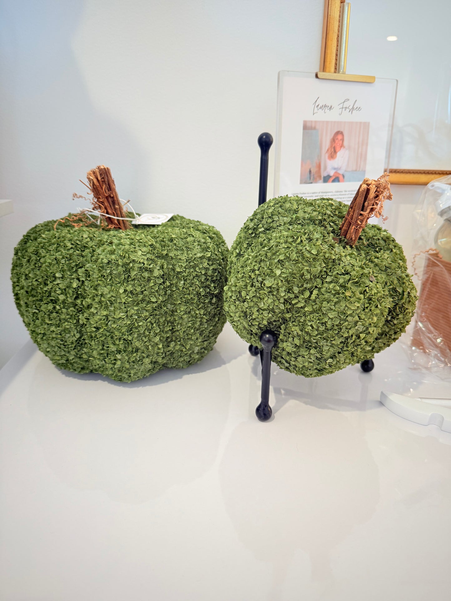 Moss Pumpkin Set