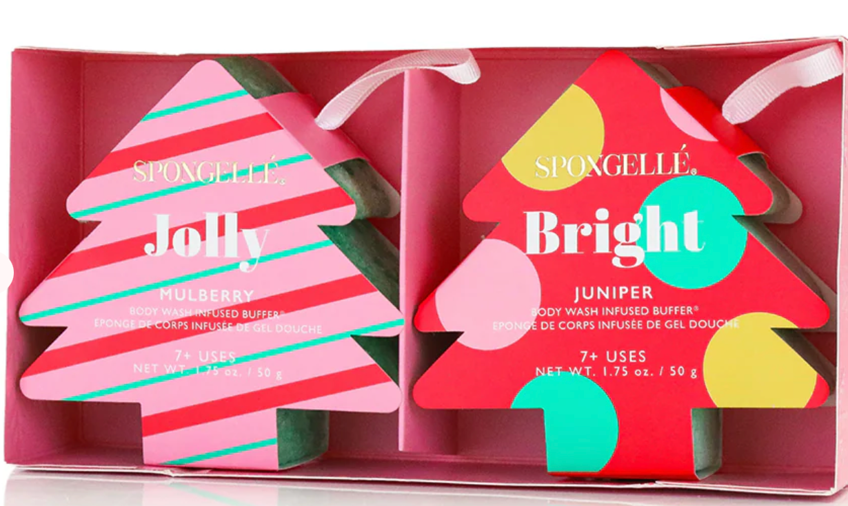 Sponge Ornament Gift Set