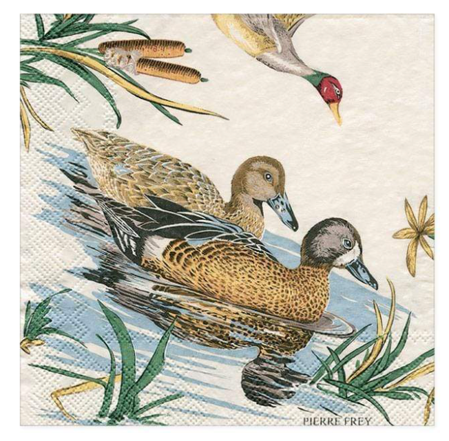 Cocktail Napkins - 20 Per Package