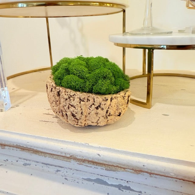 A small green reindeer moss arrangement in a textured coconut shell bowl, displayed on a light tabletop with gold and white furniture in the background.