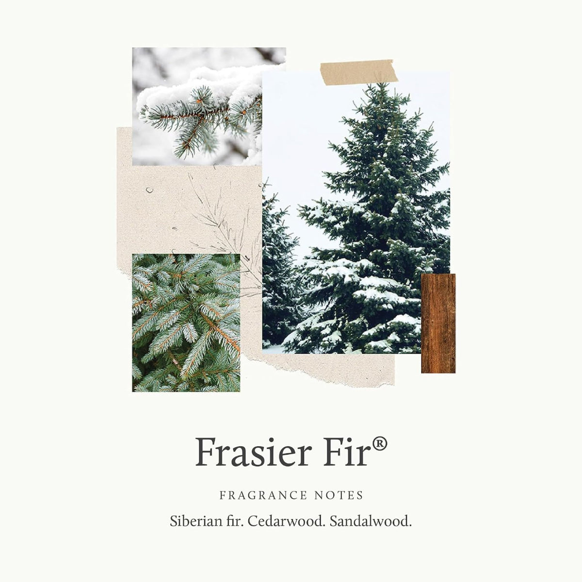Fraiser Fir Hand Wash 8.25 fl oz.
