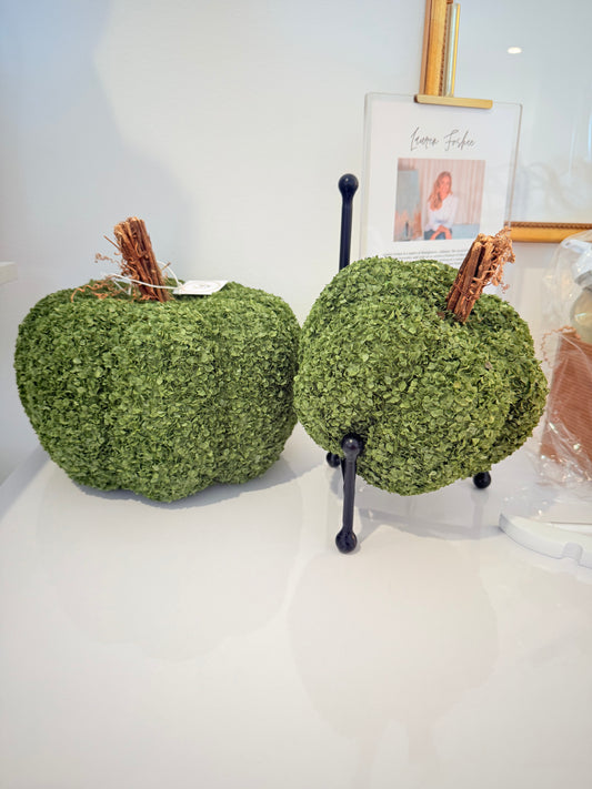 Moss Pumpkin Set