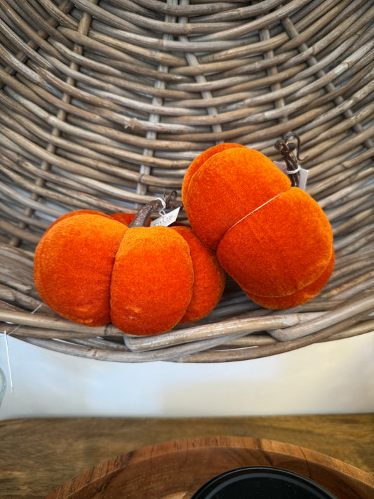 Velvet Pumpkin