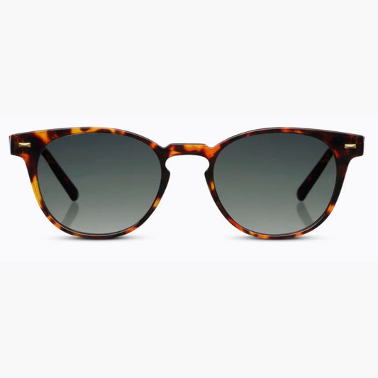 Peepers Bifocal Sunglasses, Boho II style in Tortoise