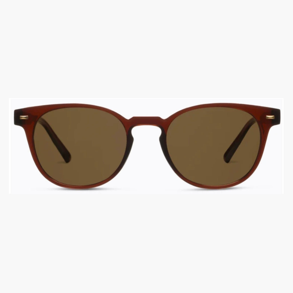 Peepers Bifocal Sunglasses, Boho II style in Brown