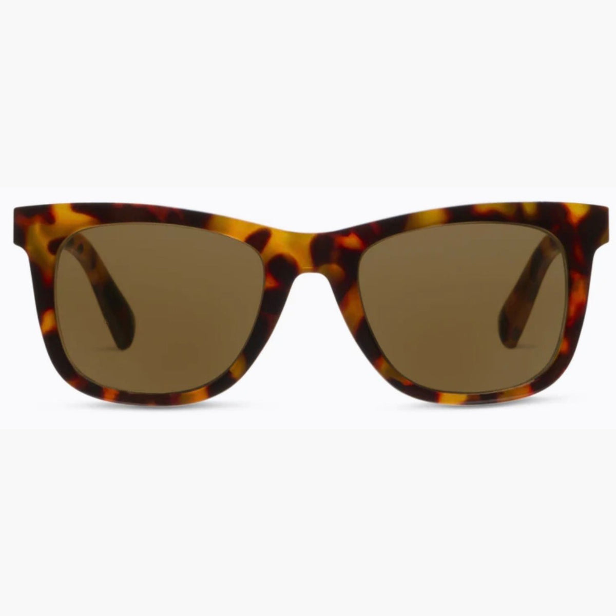 Peepers Bifocal Sunglasses, Harbor style in Tortoise