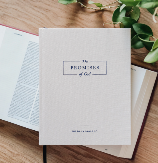 The Promises of God Devotion