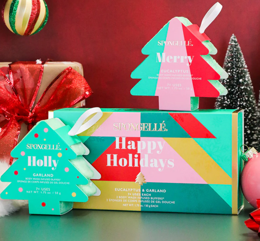 Sponge Ornament Gift Set