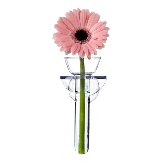 Hand-blown glass suction-mount wall vase packaged in a gift box