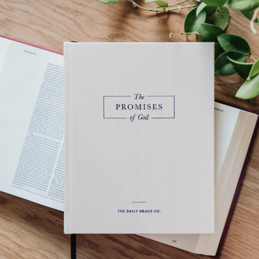Book titled 'The Promises of God' on a wooden surface with green leaves