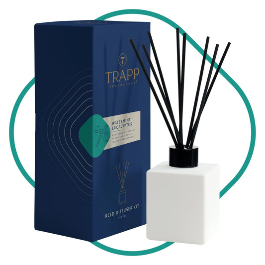 Watermint Eucalyptus reed diffuser kit with glass vase and reeds